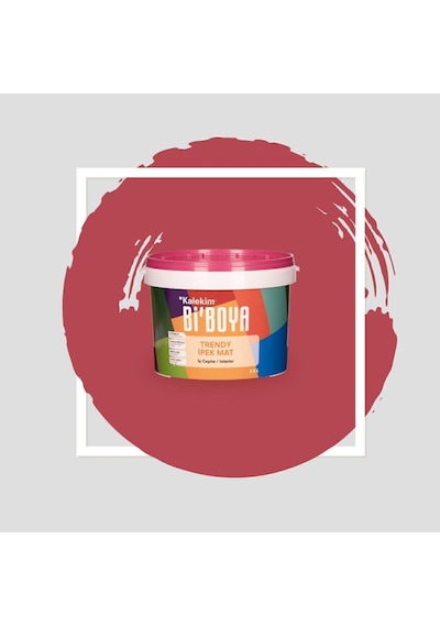 Bi Boya İpek Mat Trendy 2.5 L Hayalperest Pembe