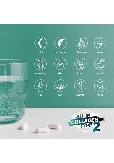 Type 2 Hydrolyzed Bovine Collagen