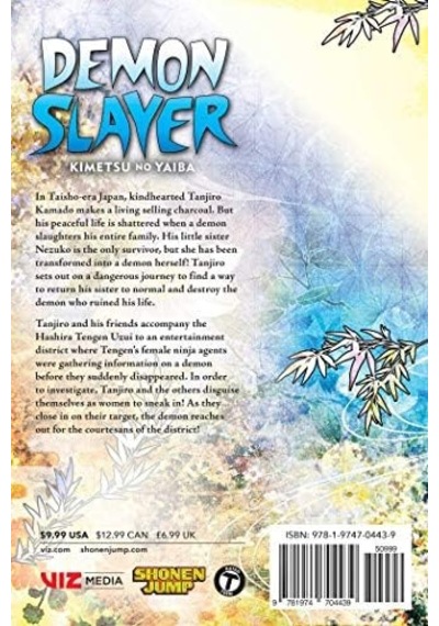 Slayer: Kimetsu No Yaiba, Vol. 9: Volume 9