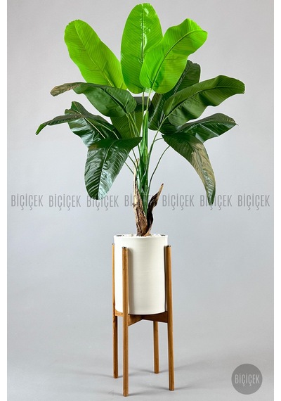 Yapay Muz Ağaci 125 Cm Ayakli Krem Metal Saksıda