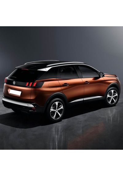 Peugeot 3008 2017-20 Arka Bagaj Kapak Amortisörü 1 Ad. 9841148880