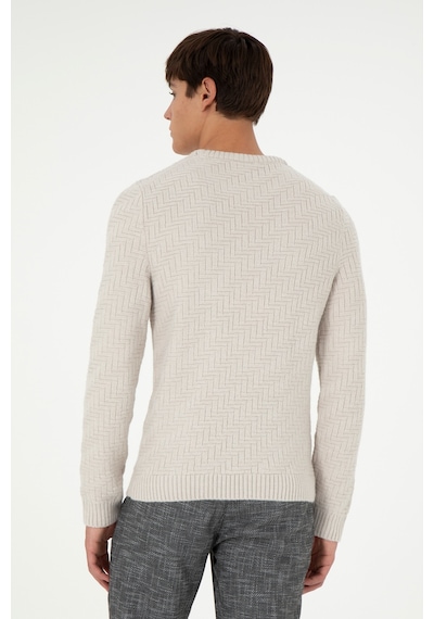 U.S. Polo Assn. Erkek Slim Fit Bisiklet Yaka Taş Kazak 50297050-VR049