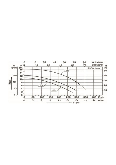 Smp Havuz Pompası 1 Hp 220 Volt