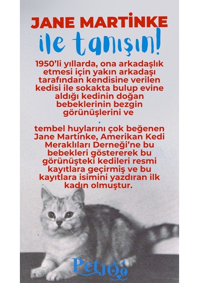 Petjoo 5.Jane Martinke Mavi-Kırmızı Qr'lı Kedi Künyesi