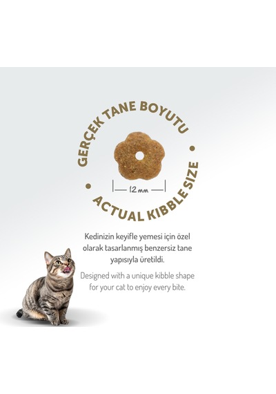 Hipoalerjenik Tavuklu Yetişkin Kedi Maması 12 Kg