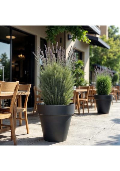 Serinova Yalı Separetörlü Saksı 6 Lt 46300412