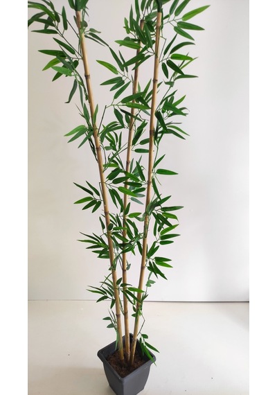 Rüzgar Yapay Çiçekçilik 170 Cm 3 Lü Bambu Yeşil