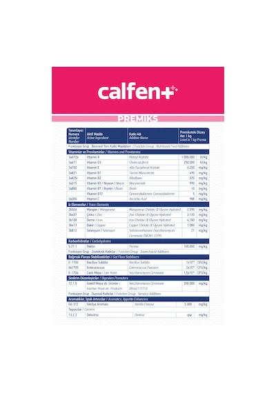 Vioment Calfent 600 Gr -Bir Gelişim İçin; En İyi Destek-