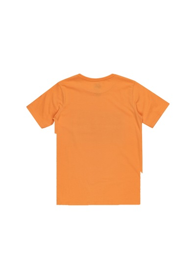Quiksilver Quıksılver Day Trıpper Ss Youth Njf0 Turuncu