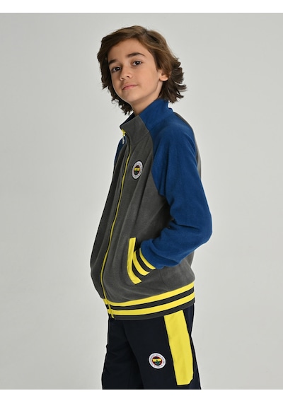 Fenerium Çocuk Trıbun Reglan Kol Detaylı Sweat Grı