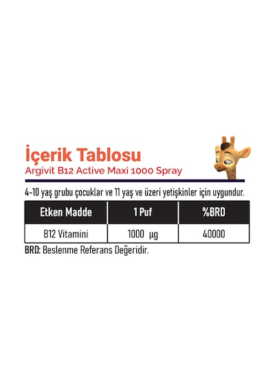 Argivit Vitamin B12 Active Maxi Sprey 30 Ml