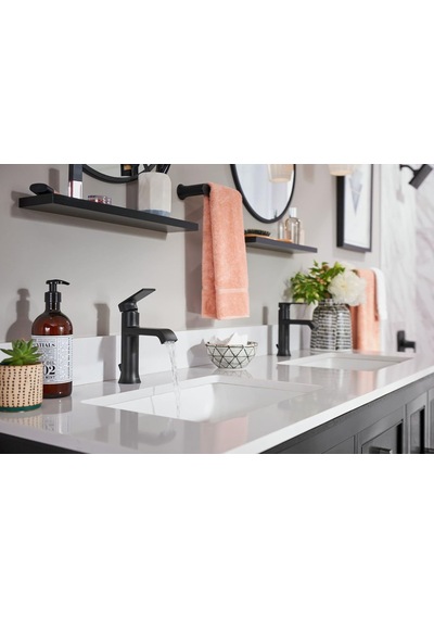 Moen Bh3886bl Genta Banyo Aksesuarı, Mat Siyah Diğer