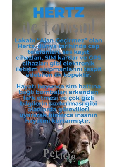 Petjoo 26.Hertz Gri-Mavi Qr'lı Köpek Künyesi
