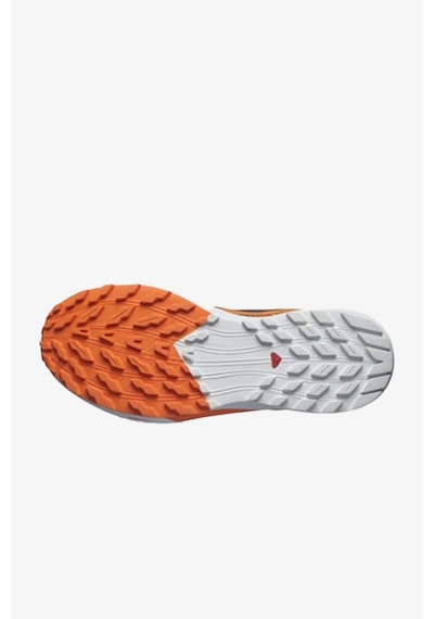 Salomon Sense Ride 5 Gtx Erkek Mavi Patika Koşu Ayakkabısı L47459400-28507 Mavi