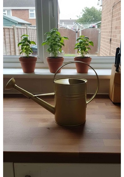 Olivia 3,5 Litre Metal Çiçek Bahçe Sulama Kabı Modern Dekoratif Çok Amaçlı Sulak Altın