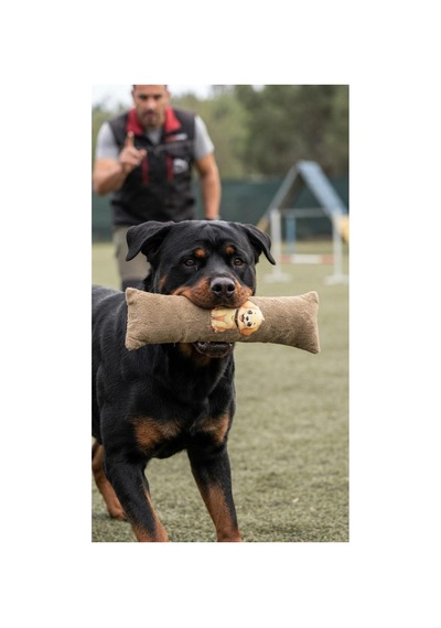 Kedi Köpek Hışırtılı Sesli Oyuncak Kadife Evcil Hayvan Oyun Oyuncağı Bej