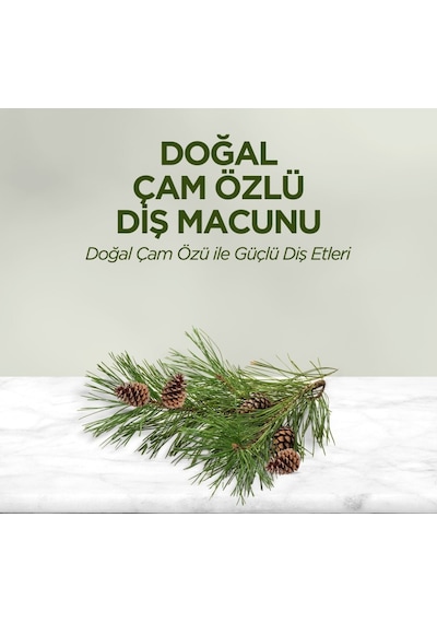 Doğal Diş Macunu 90 Gr Çam Özlü
