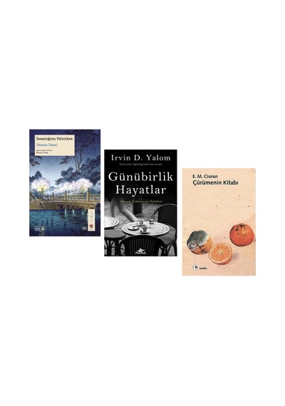 İnsanligimi Yitirirken + Gunubirlik Hayatlar + Curumenin Kitabi 3 Set