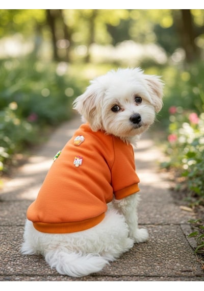 Ice Cream And Cupcakes Köpekler İçin Polar Sweatshirt