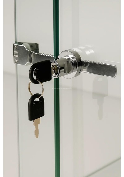 Proalet Sürgülü Cam Kilidi, 140 Mm, Zamak Gövde, Krom Kaplama, 3-6 Mm Kalın Cam Kapak İçin, 2 Yedek Anahtarlı, Güvenlik Kilidi, Cam Dolap, Vitrin, Sürgü Kapak Uyumlu, Kolay Montaj