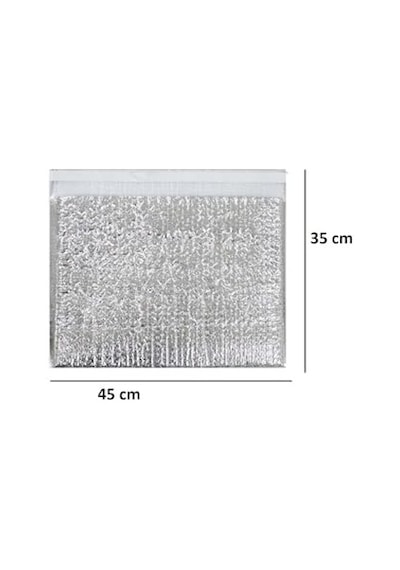 Soğuk Zincir Torbası Cool Mailer 45 X 35 X 5 Cm 5'li Açık Bej