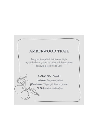 Amberwood Trail Soya Wax Kokulu Mum Sarı 120 Gr Diğer