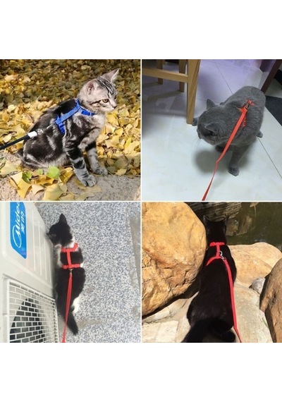 Ayarlanabilir Kedi Tasması 120 Cm 4 Renk N11.220