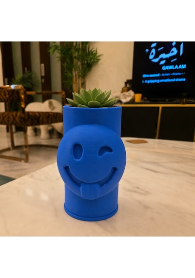 3d Baskı Emoji Planter - Göz Kırpan Yüzlü Sukulent Saksısı-mavi