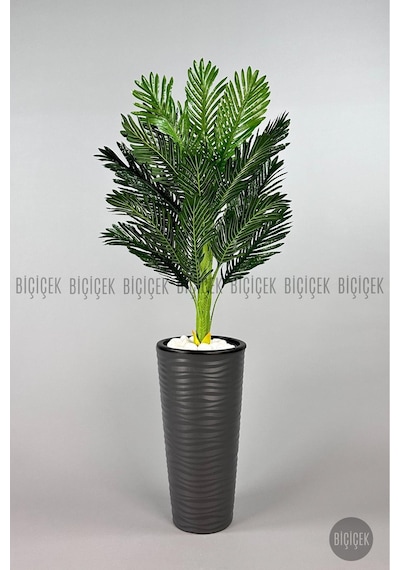 Biçiçek Areka Ağaci 150 Cm Antresi̇t Kumsal Saksıda Tek Gövdeli̇