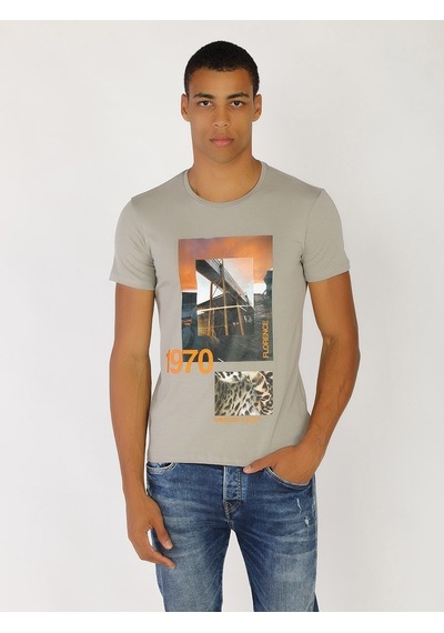 Roberto Cavalli Erkek Tshirt /M.Rob.0421.14024 Açık Gri
