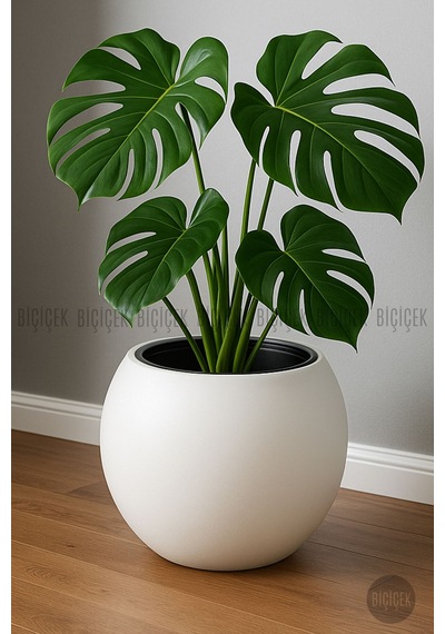 Küre Saksı 51 Cm Mocha Kahverengi