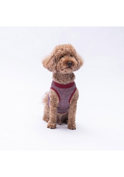 Pawstar Bordo Space Time T-shirt Küçük Irk