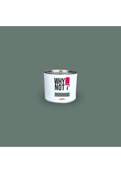 Whynot Yeşil Duvar Boyası - Focus On 1,5litre 0.2 KG