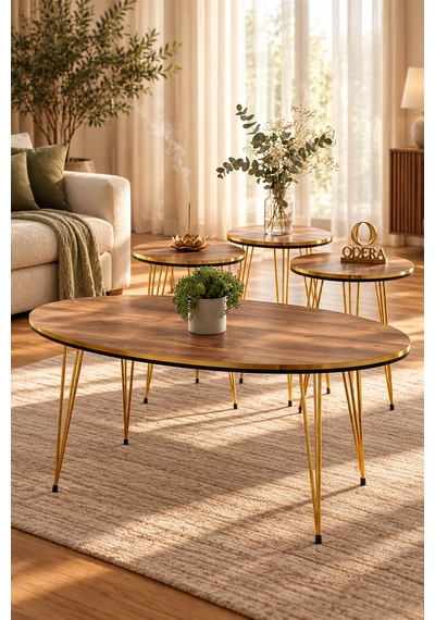 Odera Çift Ceviz Elips Orta Sehpa Ve Yuvarlak Zigon Sehpa 4'lü Set Metal Tel Ayaklı Modern Retro Salon Sehpası Diğer