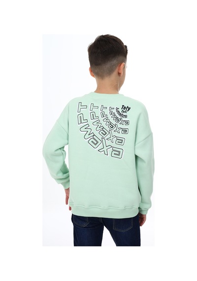 Toontoy Kids Toontoy Erkek Çocuk Sweatshirt Mint Yeşili
