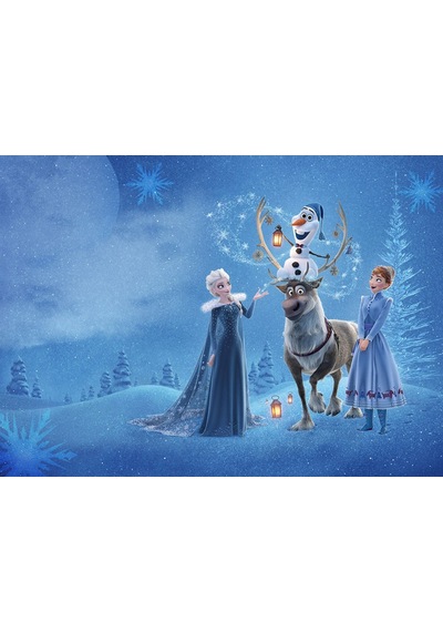 Elsa Karlar Ülkesi Duvar Kağıdı Frozen Çocuk Odaları Için (397455024)
