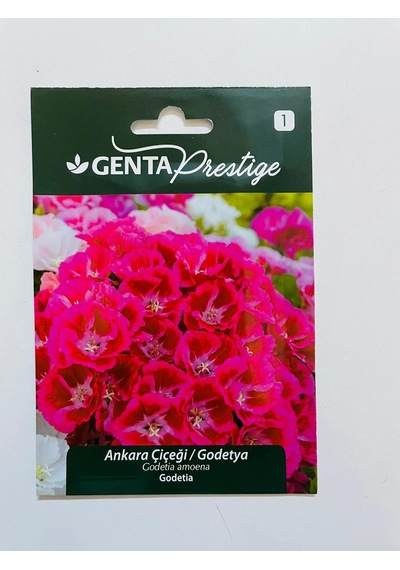 Genta Prestige Ankara ÇiçeğiGodetya Genta Çiçek Tohumları