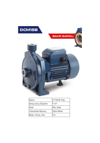 Dayuan Dcm158 1 Hp Bakır Sargı Su Pompası