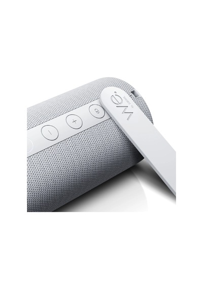Loewe We Hear 1 Cool Gri Bluetooth Hoparlör