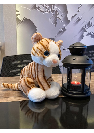 Selay Oyuncak Krem Peluş Kedi 28Cm