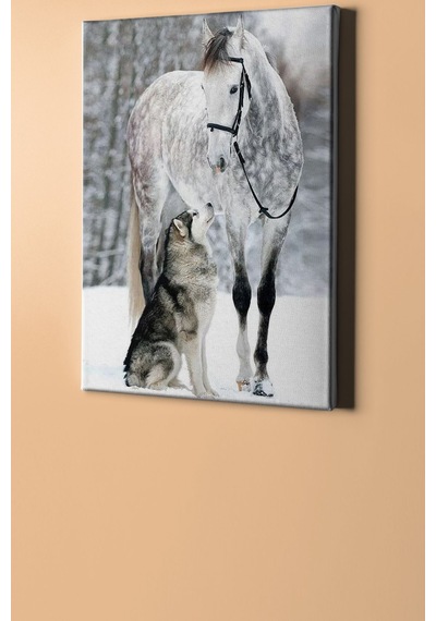 Webstyle Sayılarla Boyama Seti Kasnaklı Benekli At Ve Kurt 40 X 50 Cm