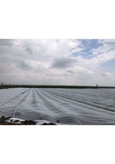 Agril Isı Don Örtüsü 30 Gr - 9,6 M X 85 M Zirai Don Kırağı Örtü Karpuz Çilek Örtüsü Elyaf Örtü