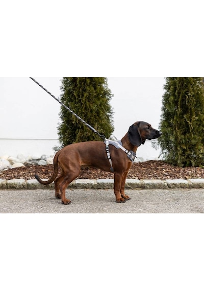 Y Tipi Spor Köpek Göğüs Tasması 20 Mm 38-62 / 58-74 Cm - Fitty Serisi - M Gri