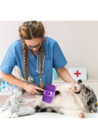Otomatik Temizlenebilen Tuşlu Pratik Kedi Köpek Tüy Toplama Fırça 555513311