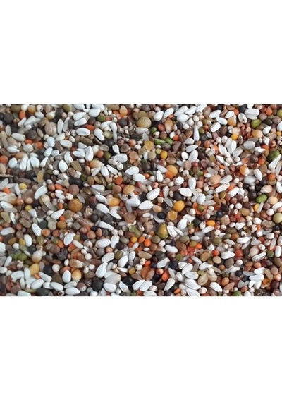 Güvercin Yemi Karışık Güvercin Yemi Lüx Ekonomik 500 Gr