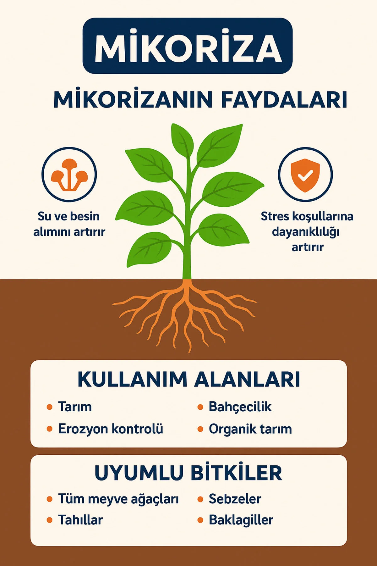 Shubhodaya Mikoriza L Organik Gübre 50 Gr