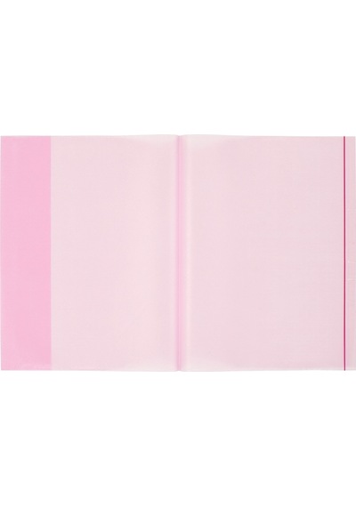 Bigpoint A4 Hazır Defter Kabı 5'Li Paket Şeffaf Kırmızı