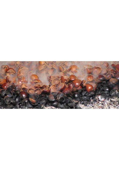 Fındık Kabuğu Mangal Kömürü N11.185