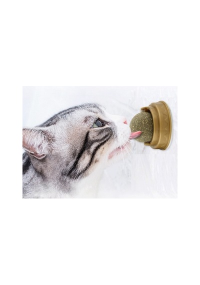 1 Adet Kedi Otu Oyun Topu Catnip Çift Bantlı