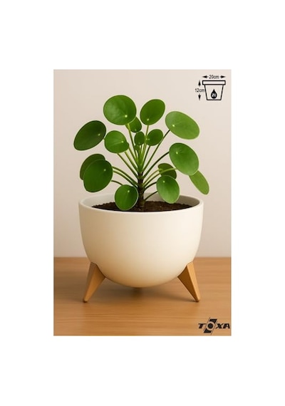 2 Litre 19cm Küre Saksı Ayaklı Delikli Süzgeçli Plastik Çiçek Saksısı Fildişi